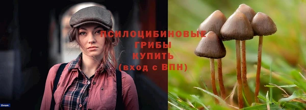 соль курить ск Магадан