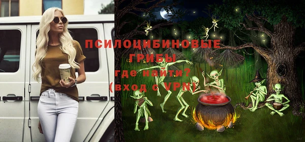 дживик Гусиноозёрск