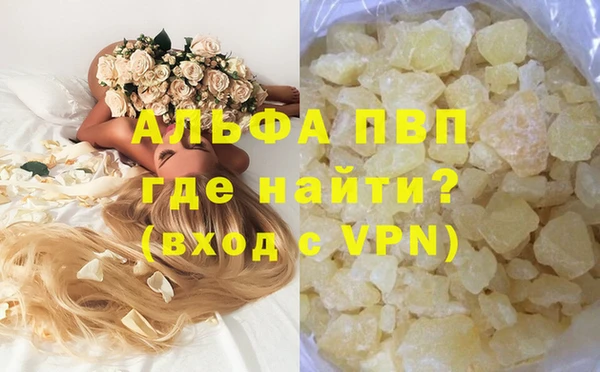 шишки Новый Уренгой