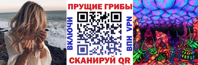 даркнет сайт  Заволжск  Галлюциногенные грибы прущие грибы 